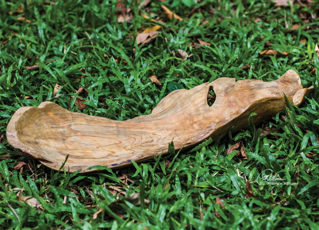 Uttermost Teak Leaf Bowl