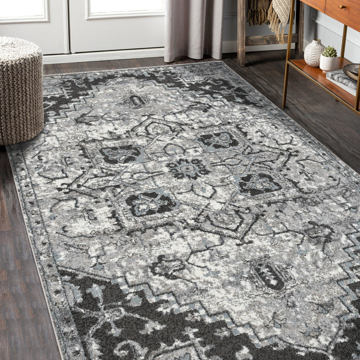 ALX-49 Amer Rugs Alexandria