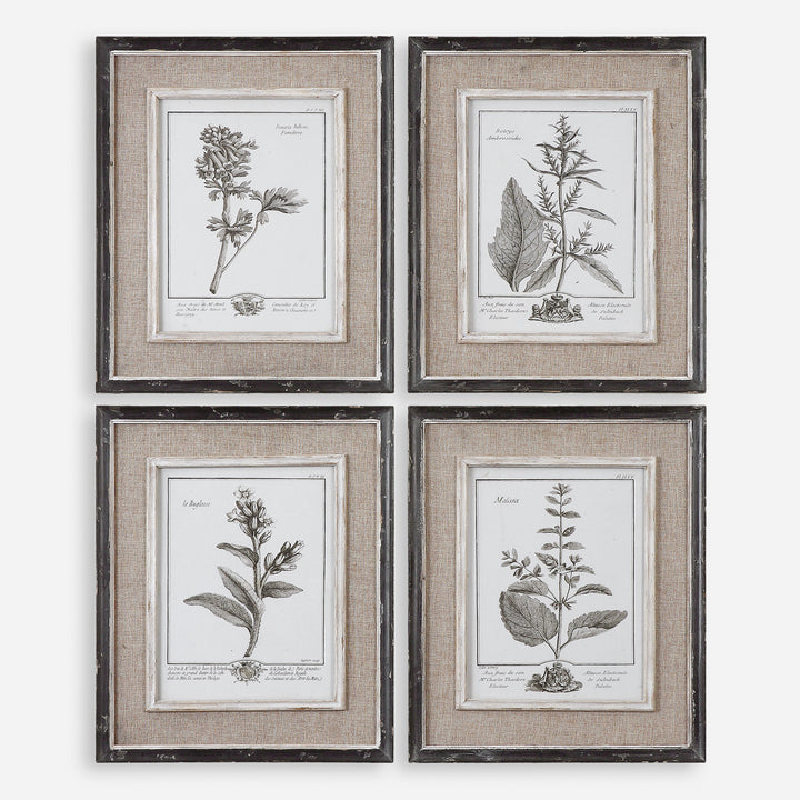 Uttermost Casual Grey Study Framed Art Set/4