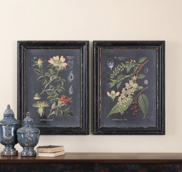 Uttermost Midnight Botanicals Wall Art S/2