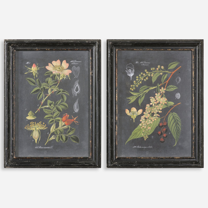 Uttermost Midnight Botanicals Wall Art S/2