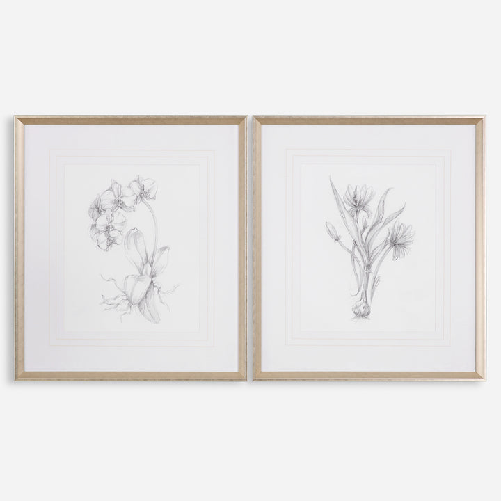 Uttermost Botanical Sketches Framed Prints S/2