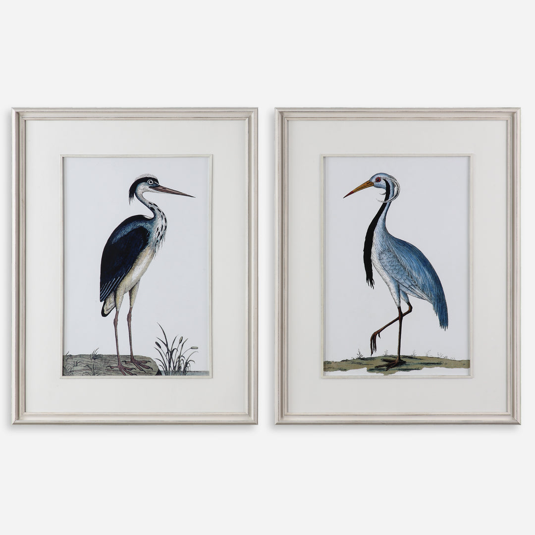 Uttermost Shore Birds Framed Prints S/2