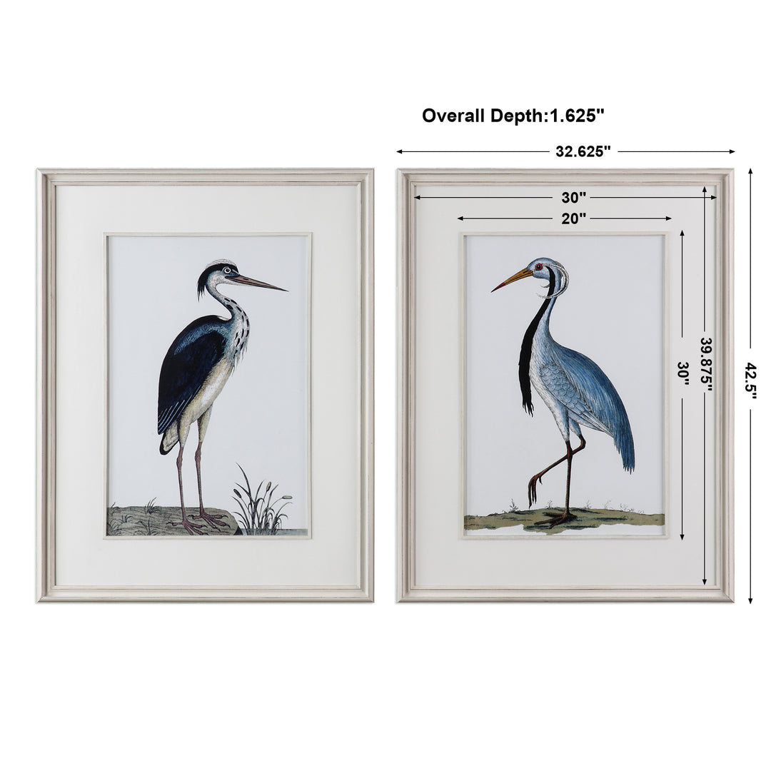 Uttermost Shore Birds Framed Prints S/2