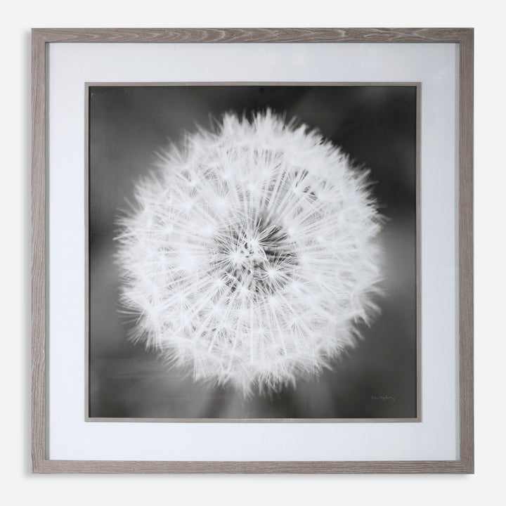 Uttermost Dandelion Seedhead Framed Print