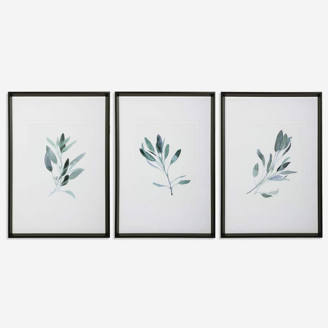 Uttermost Simple Sage Watercolor Prints, S/3