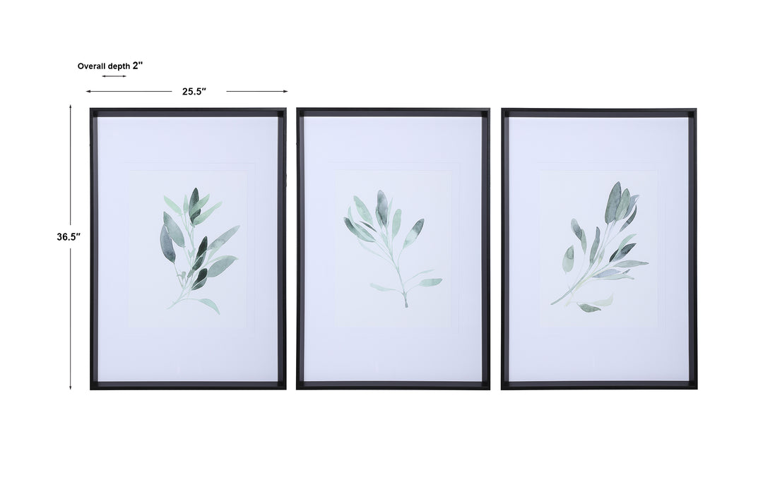 Uttermost Simple Sage Watercolor Prints, S/3