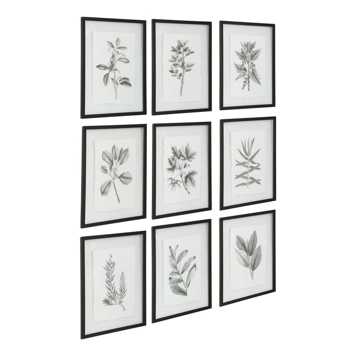 Uttermost Farmhouse Florals Framed Prints, S/9