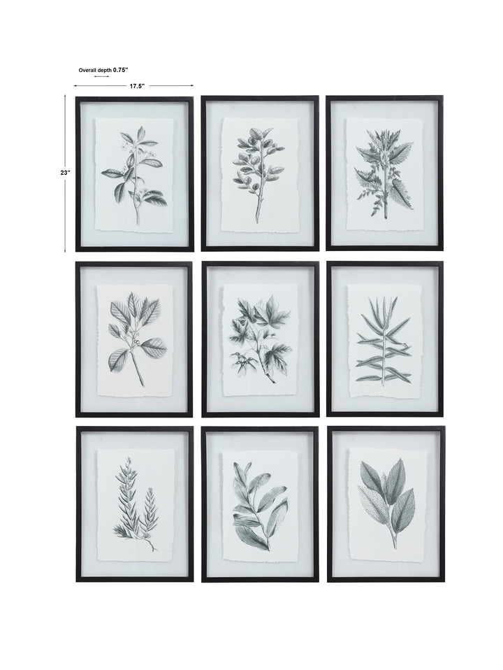 Uttermost Farmhouse Florals Framed Prints, S/9