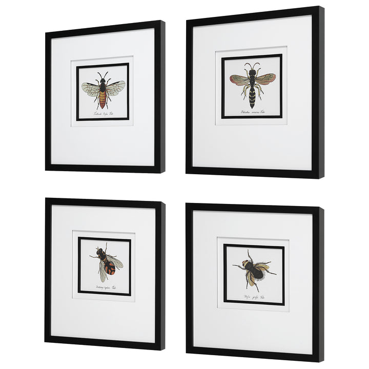 Uttermost Anthophila Framed Prints, S/4