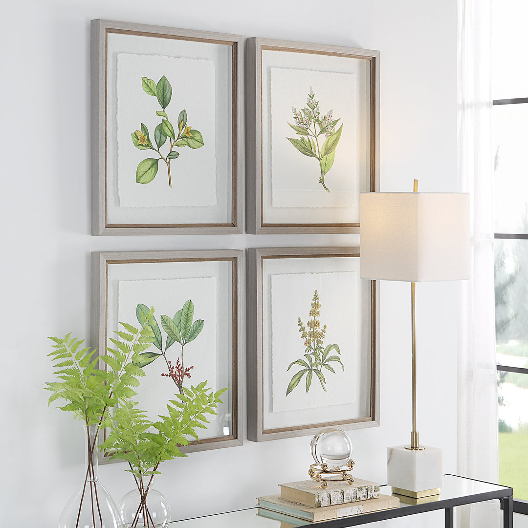 Uttermost Wildflower Study Framed Prints, S/4