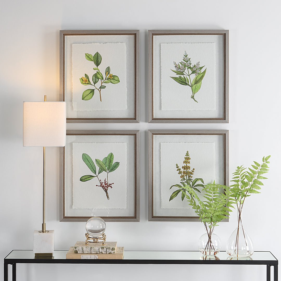 Uttermost Wildflower Study Framed Prints, S/4