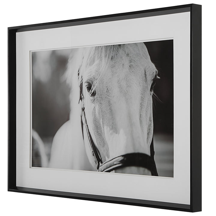 Uttermost Eyes On The Prize Framed Print