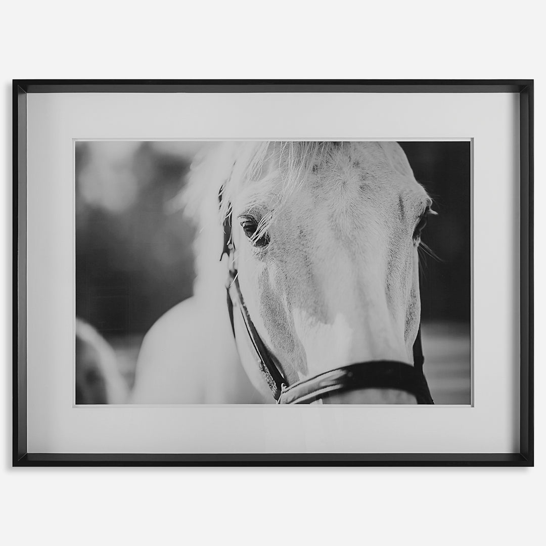 Uttermost Eyes On The Prize Framed Print