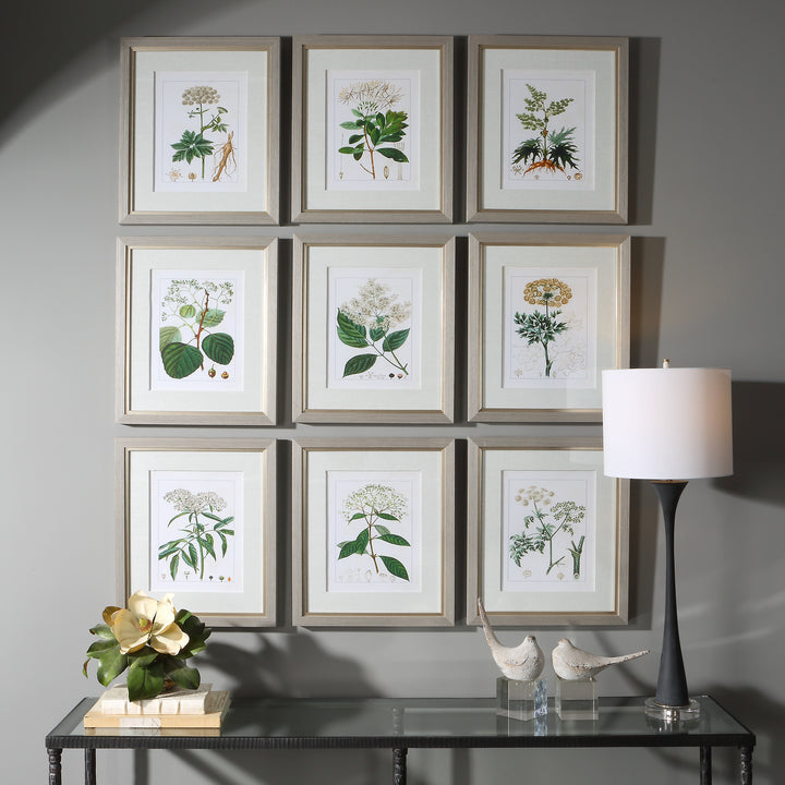 Uttermost Antique Botanicals Framed Prints, S/9