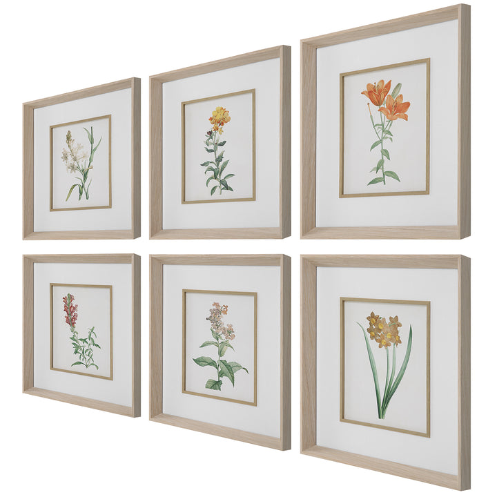 Uttermost Classic Botanicals Framed Prints Set/6