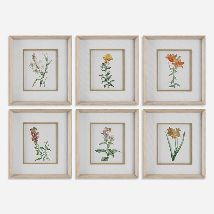 Uttermost Classic Botanicals Framed Prints Set/6