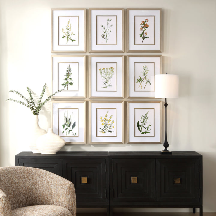 Uttermost Botanical Flowers Framed Prints, S/9