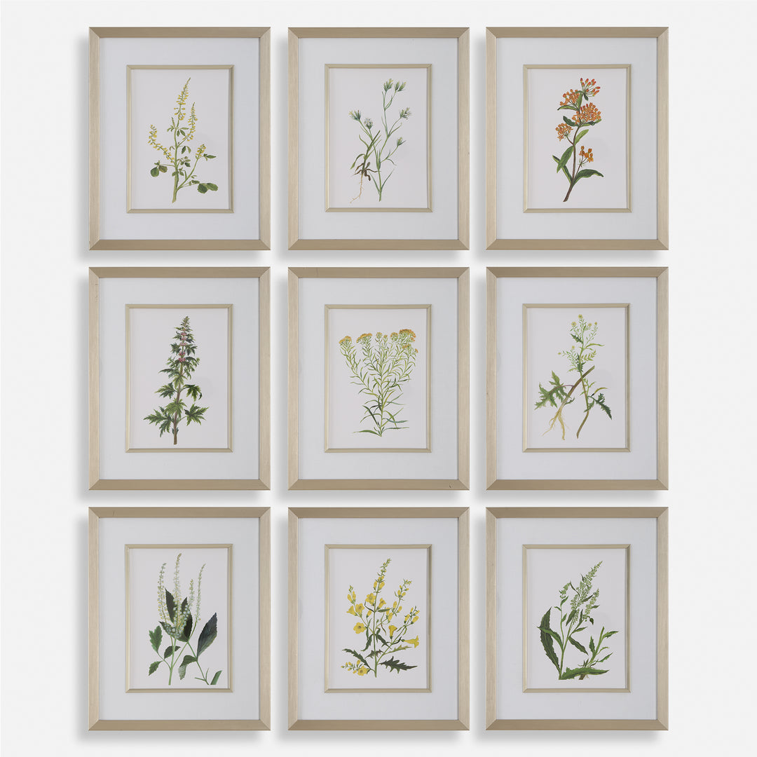 Uttermost Botanical Flowers Framed Prints, S/9