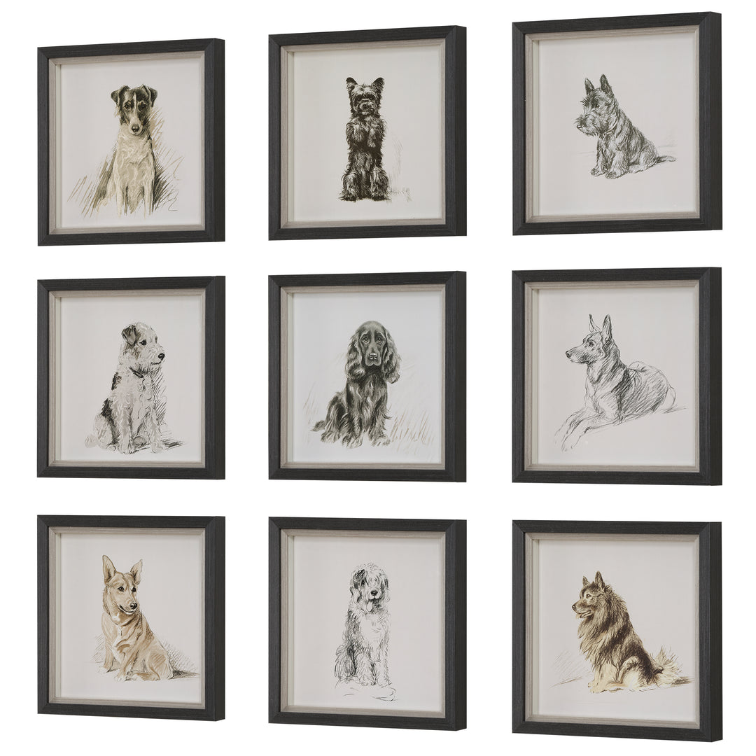 Uttermost Loyal Companion Framed Dog Prints, S/9