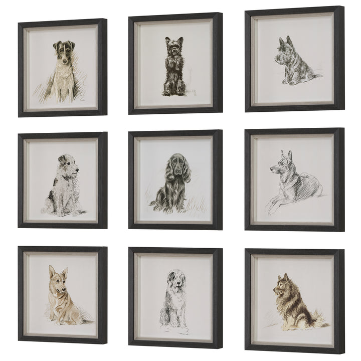 Uttermost Loyal Companion Framed Dog Prints, S/9