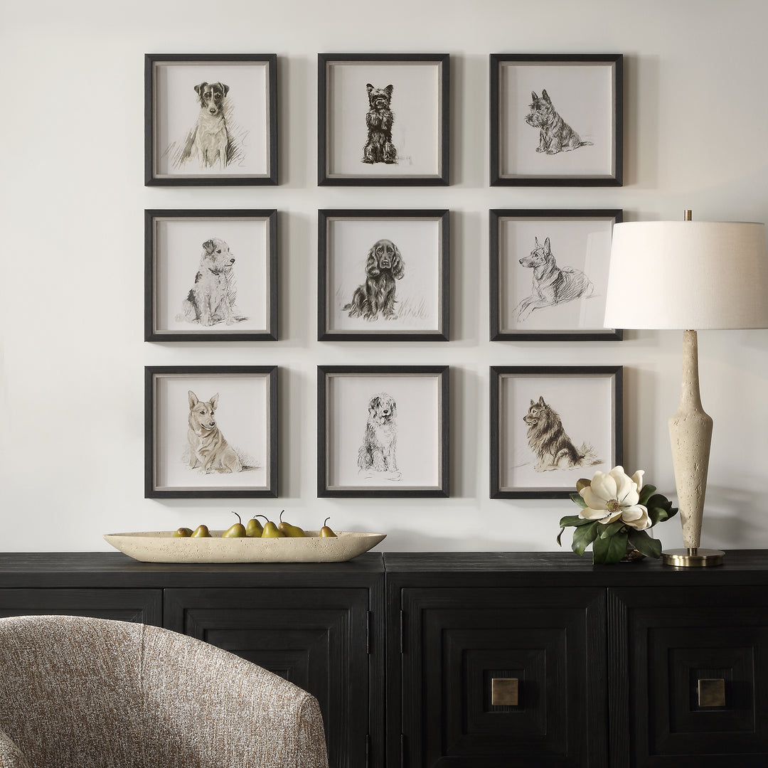 Uttermost Loyal Companion Framed Dog Prints, S/9