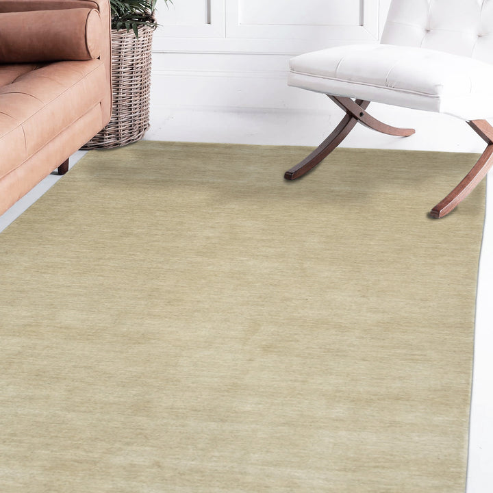 ARZ-2 Amer Rugs Arizona