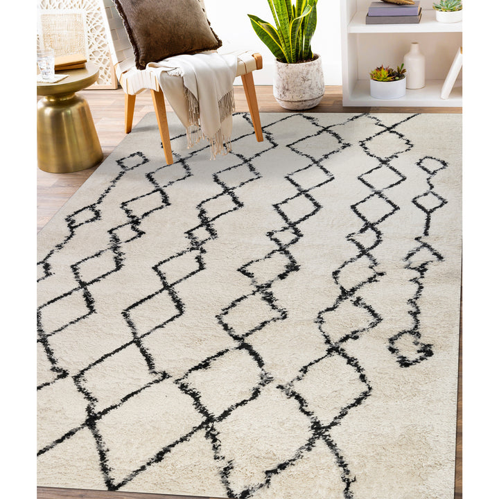 ASP-5 Amer Rugs Aspen