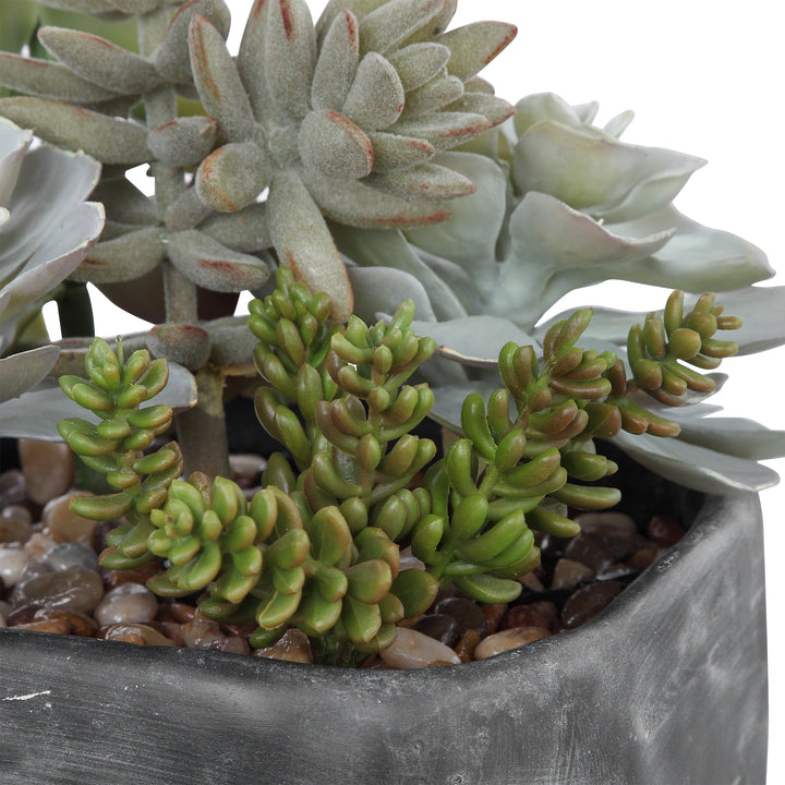 Uttermost Alverio Desert Garden Succulents