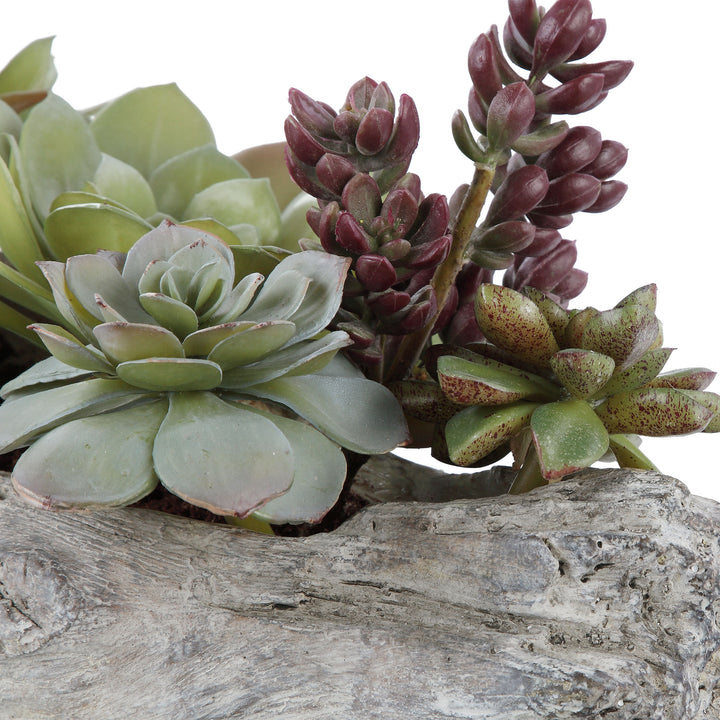 Uttermost Charita Lush Succulents