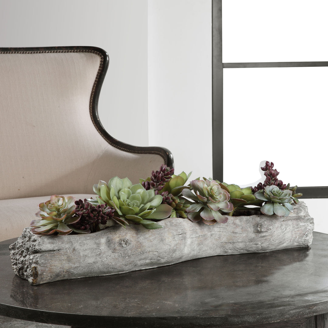 Uttermost Charita Lush Succulents