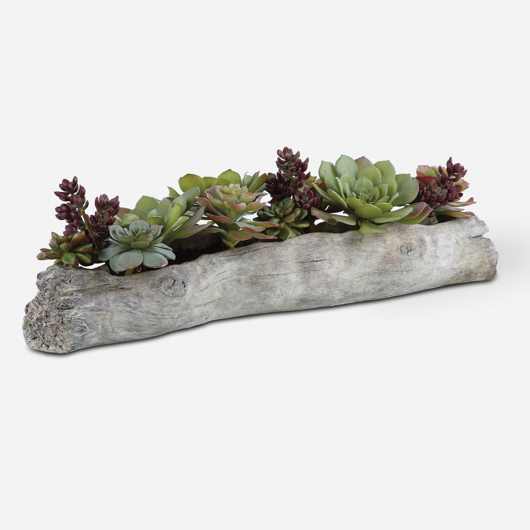 Uttermost Charita Lush Succulents