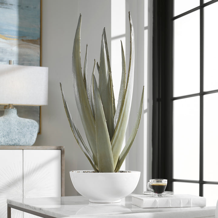 Uttermost Evarado Aloe Planter