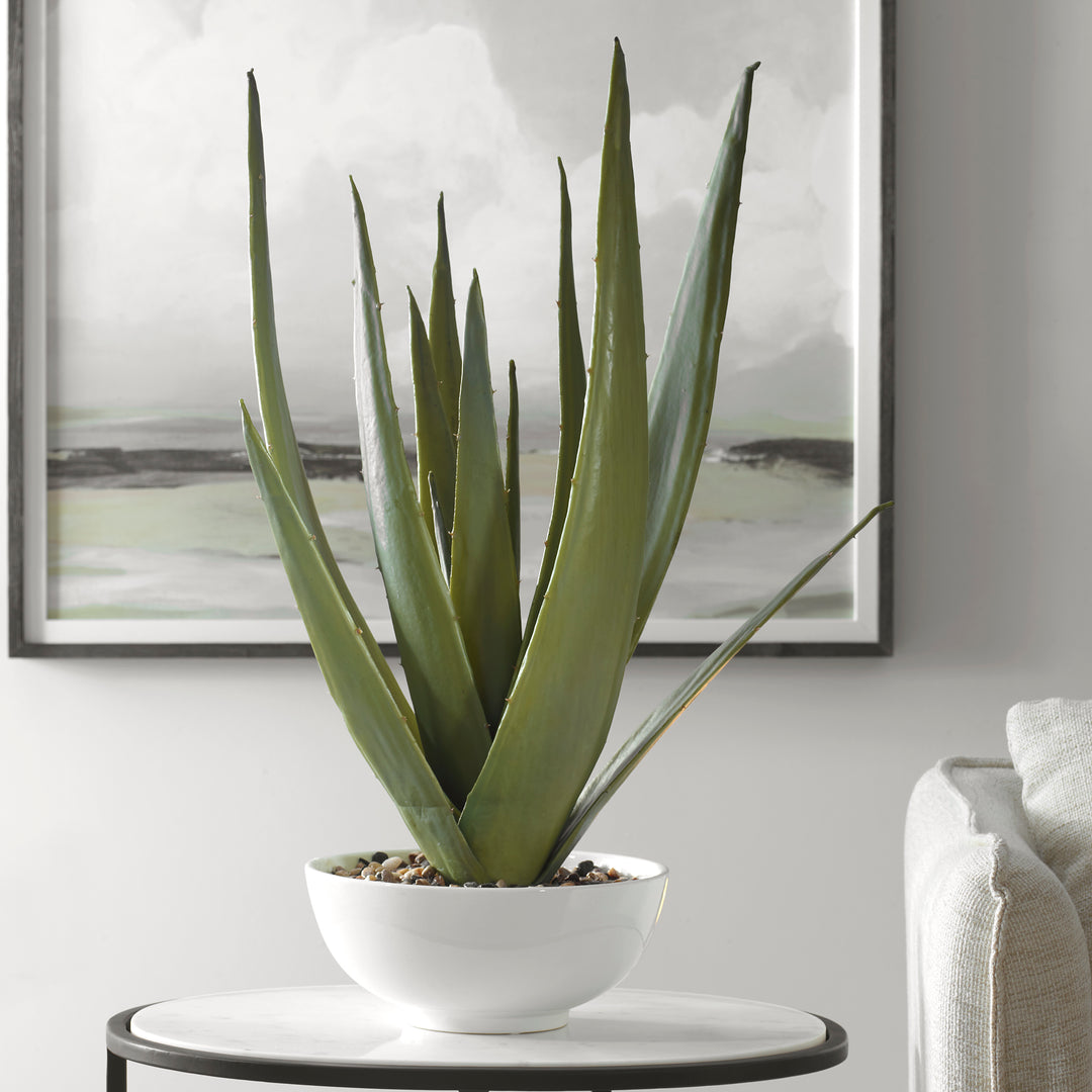 Uttermost Evarado Aloe Planter