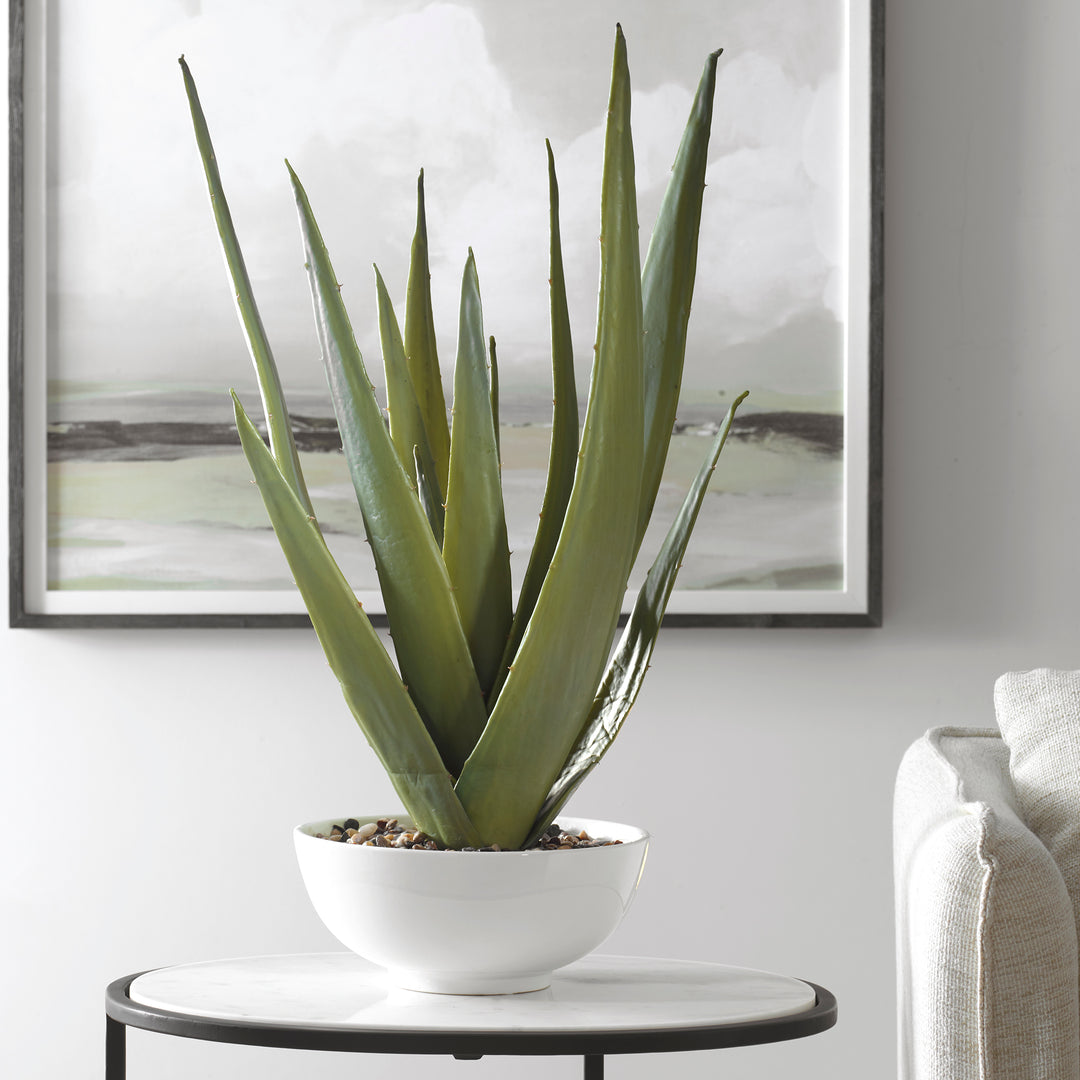 Uttermost Evarado Aloe Planter