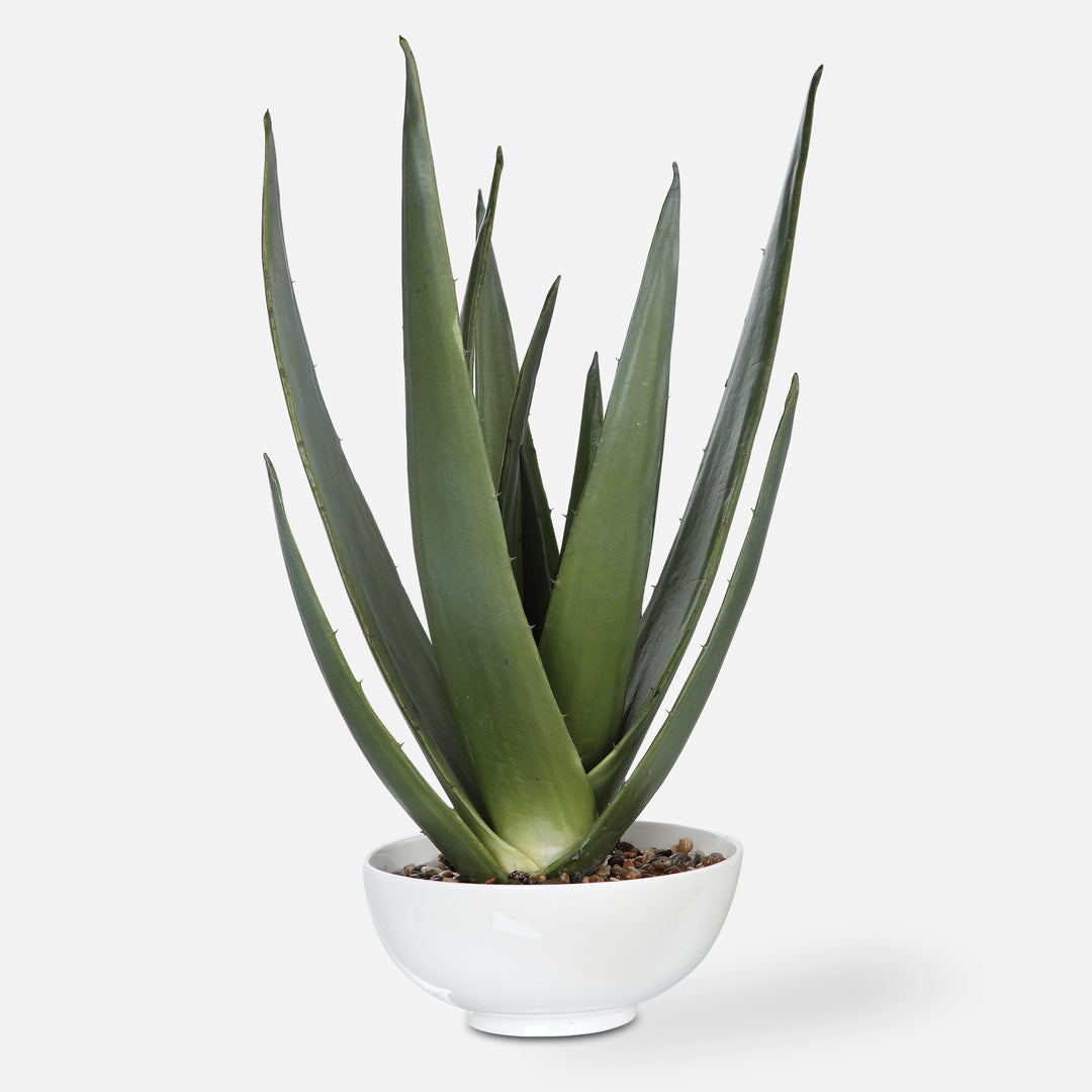 Uttermost Evarado Aloe Planter