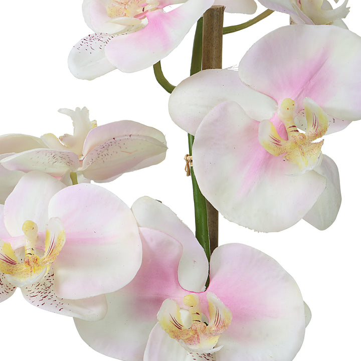 Uttermost Blush Pink And White Orchid