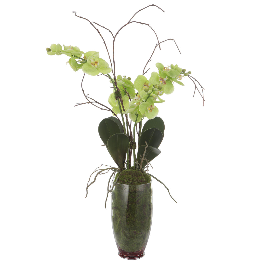 Uttermost Valdive Orchid