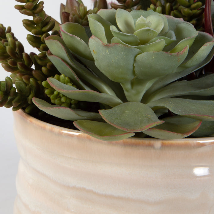 Uttermost Mesa Succulent Accent