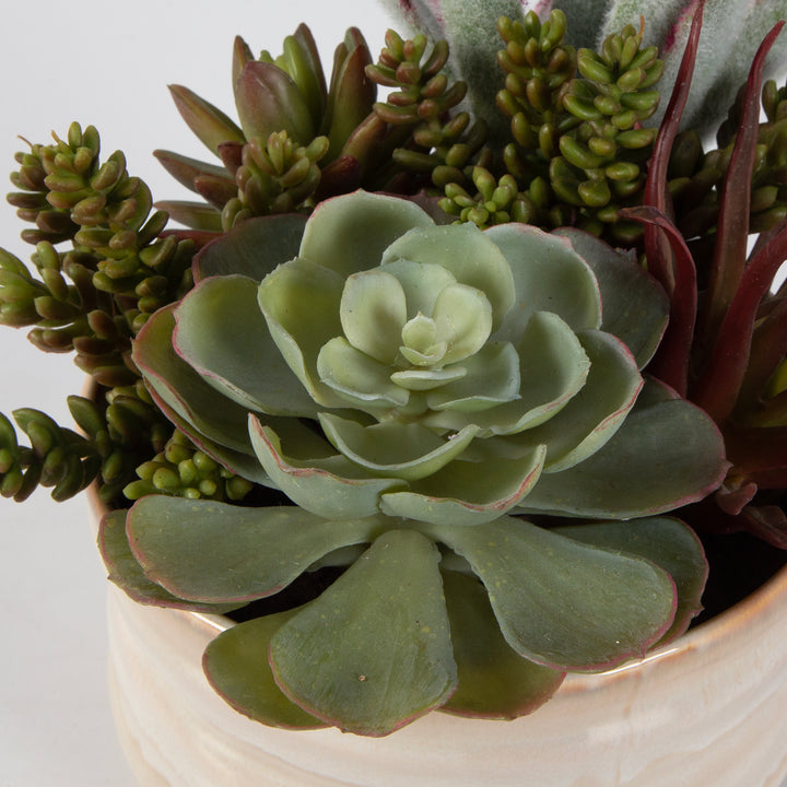 Uttermost Mesa Succulent Accent