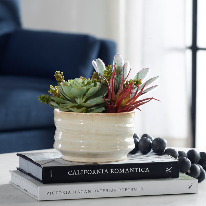 Uttermost Mesa Succulent Accent