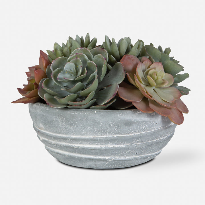 Uttermost Peoria Succulent Accent