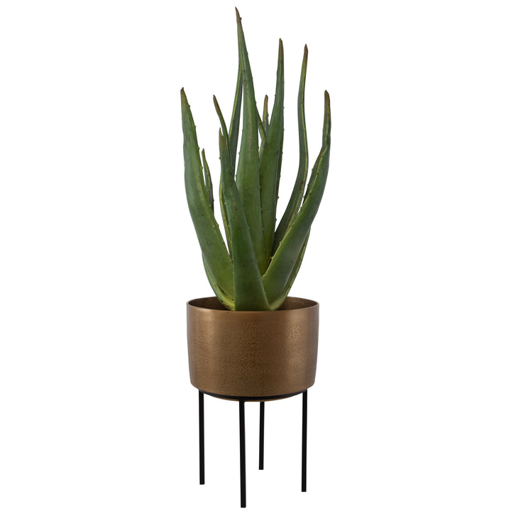 Uttermost Arabia Aloe Planter