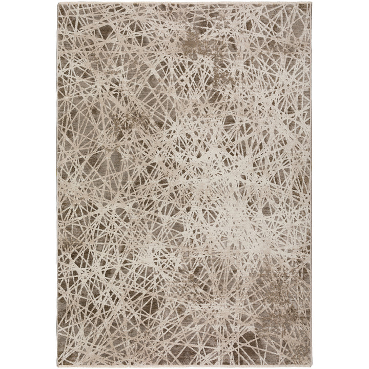 Taupe DZ4 Dalyn Denizi Area Rug