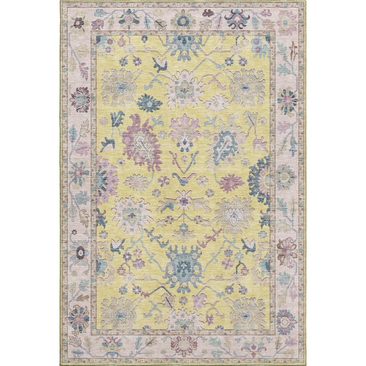 Yellow HY7 Dalyn Hatay Area Rug