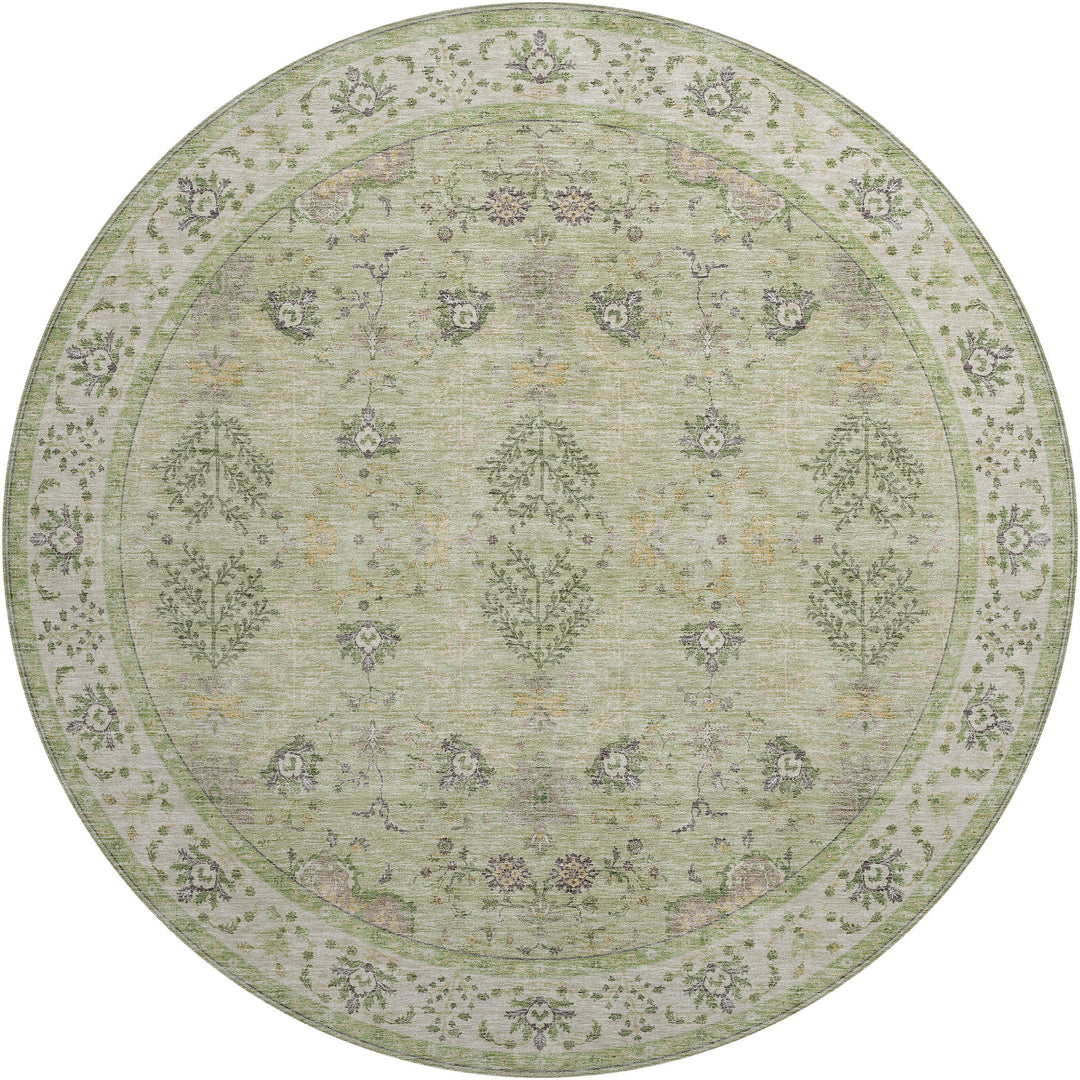 Aloe HY9 Dalyn Hatay Area Rug