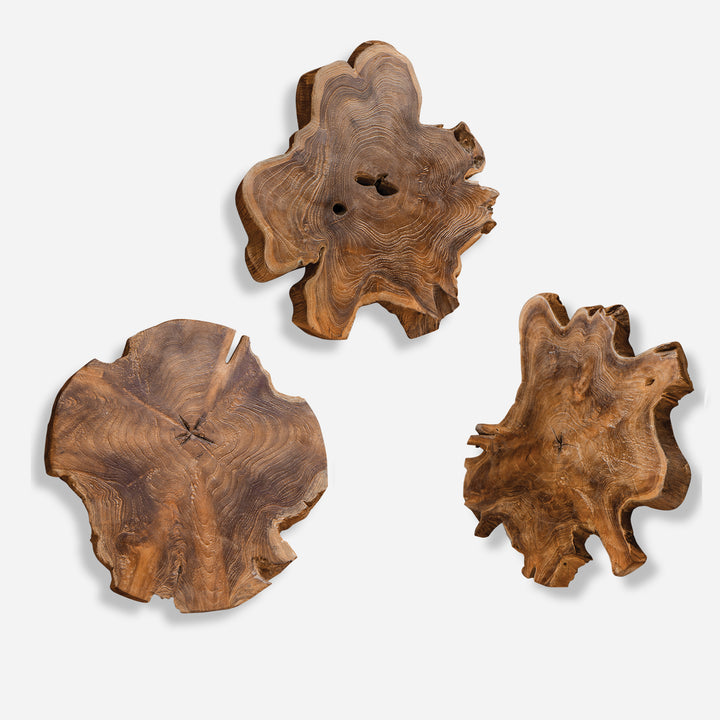 Uttermost Kalani Teak Wall Art Set/3