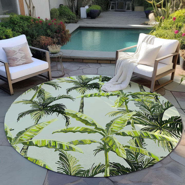 Aloe TC10 Dalyn Tropics Area Rug