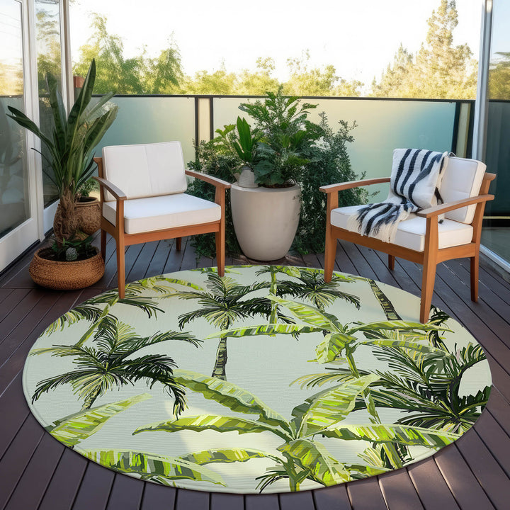 Aloe TC10 Dalyn Tropics Area Rug