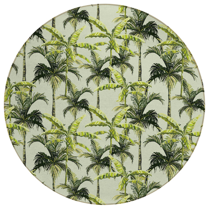 Aloe TC10 Dalyn Tropics Area Rug